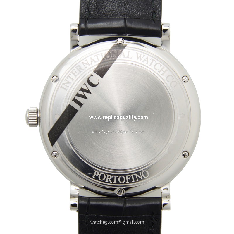IWC IW356501 3