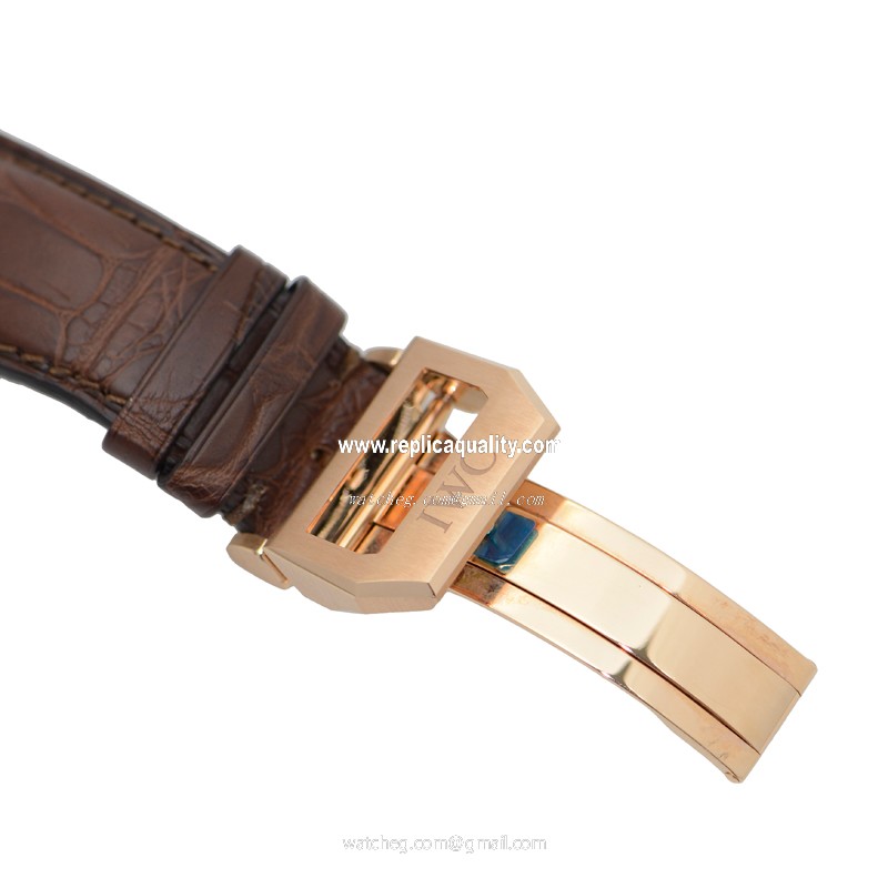 IWC IW500113 3