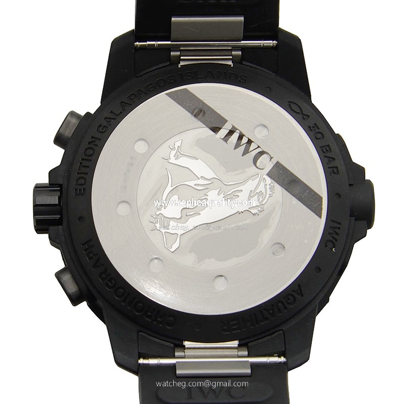 IWC IW379502 3