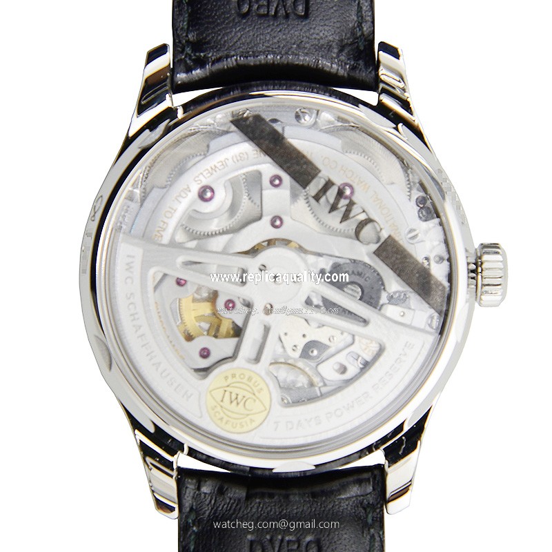 IWC IW500703 3