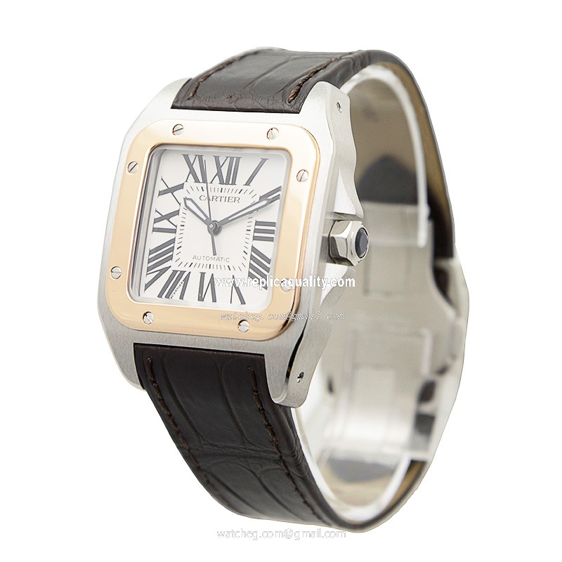Cartier W20107X7  3