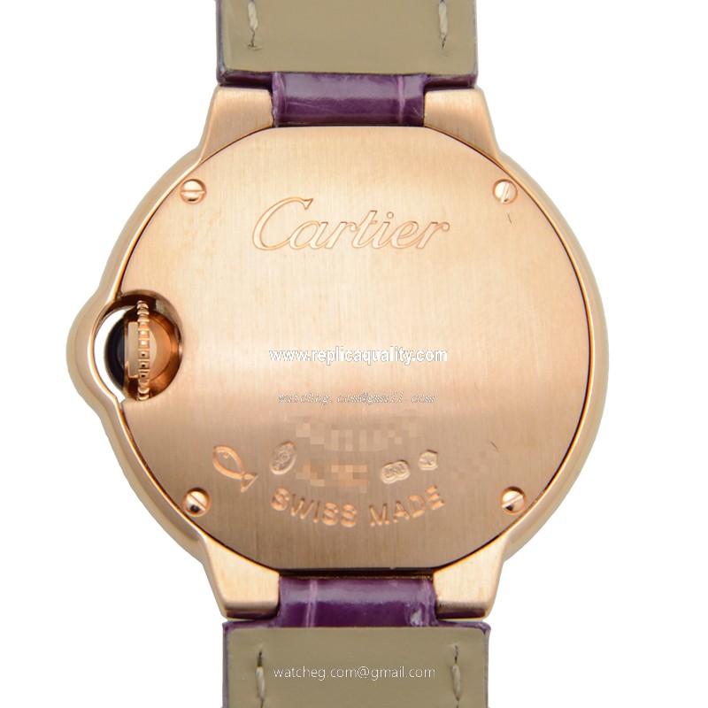Cartier WJBB0019   3