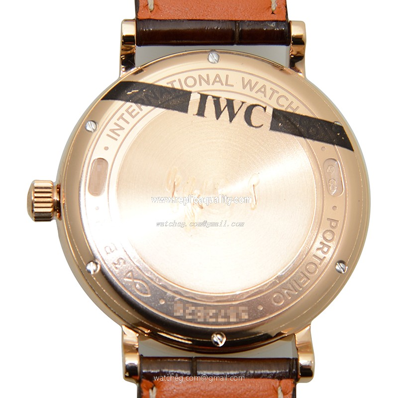 IWC IW459003 3