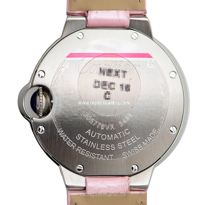 Cartier WSBB0002 3