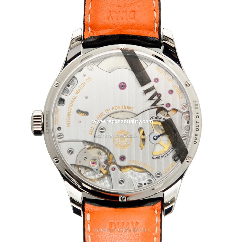 IWC IW510205 3