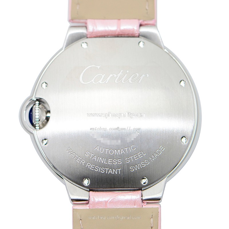 Cartier WSBB0007 3