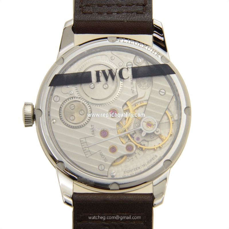 IWC IW325401 3