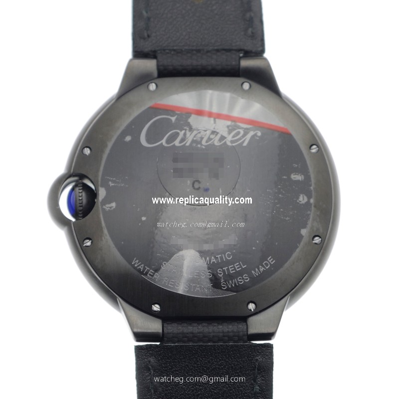 Cartier WSBB0015 3