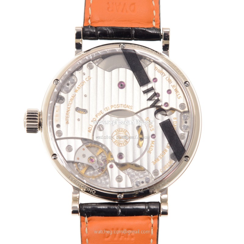 IWC IW516101 3