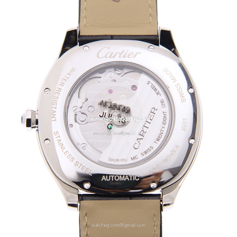 Cartier WSNM0005 3