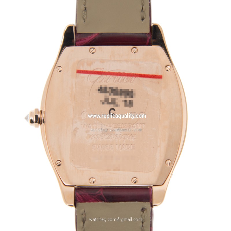 Cartier WA501008 3