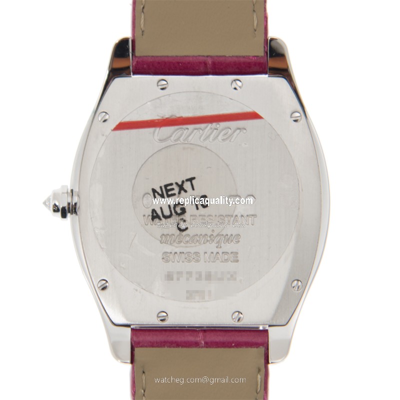 Cartier WA501009 3