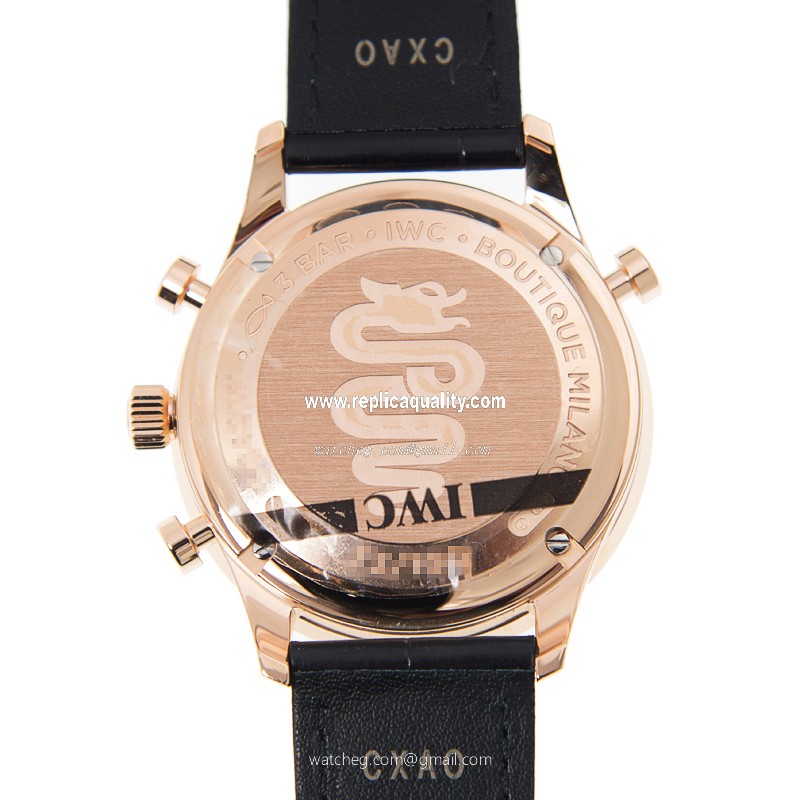 IWC IW371215 3