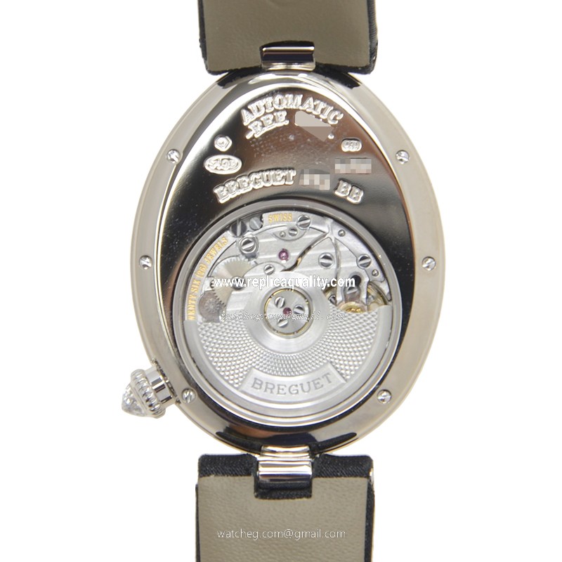 Breguet 8918BB/58/864/D00D 3