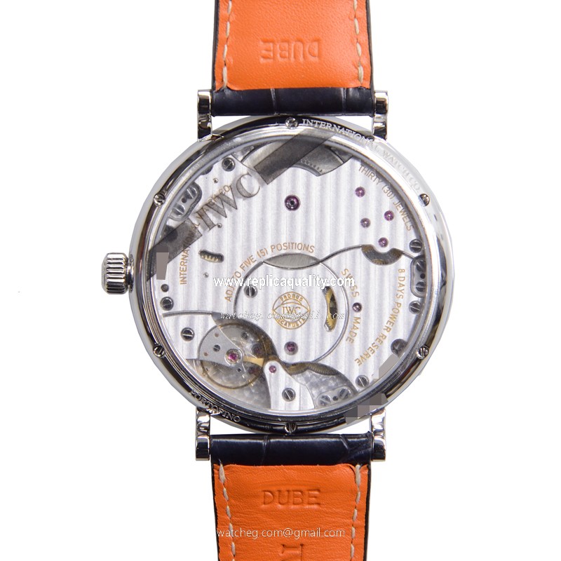 IWC IW510106 3