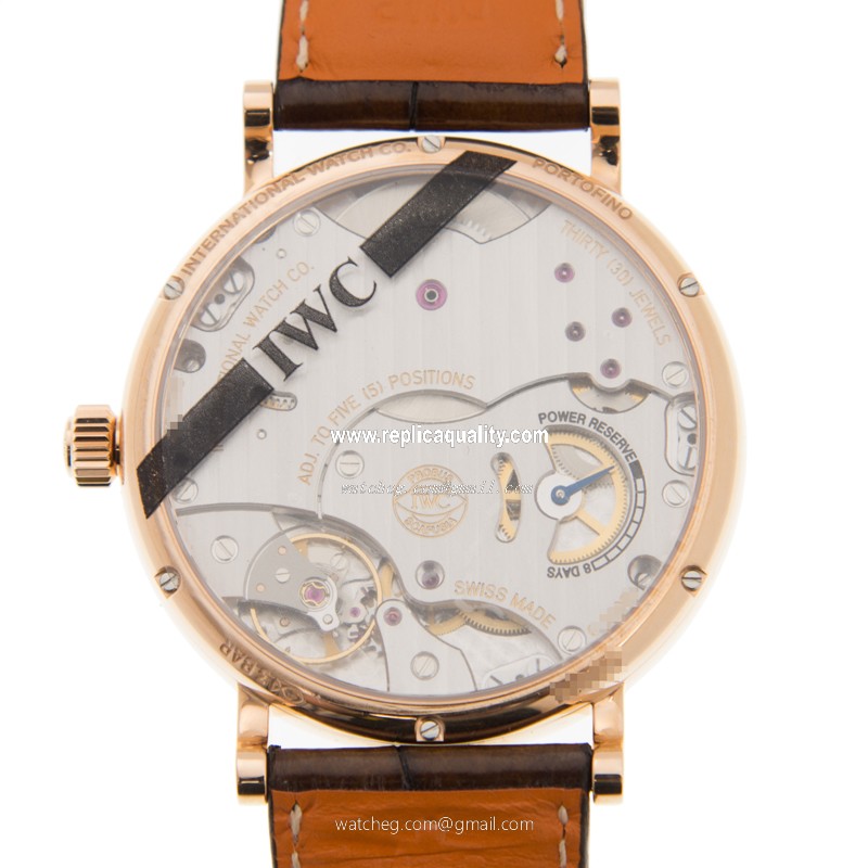 IWC IW511102 3