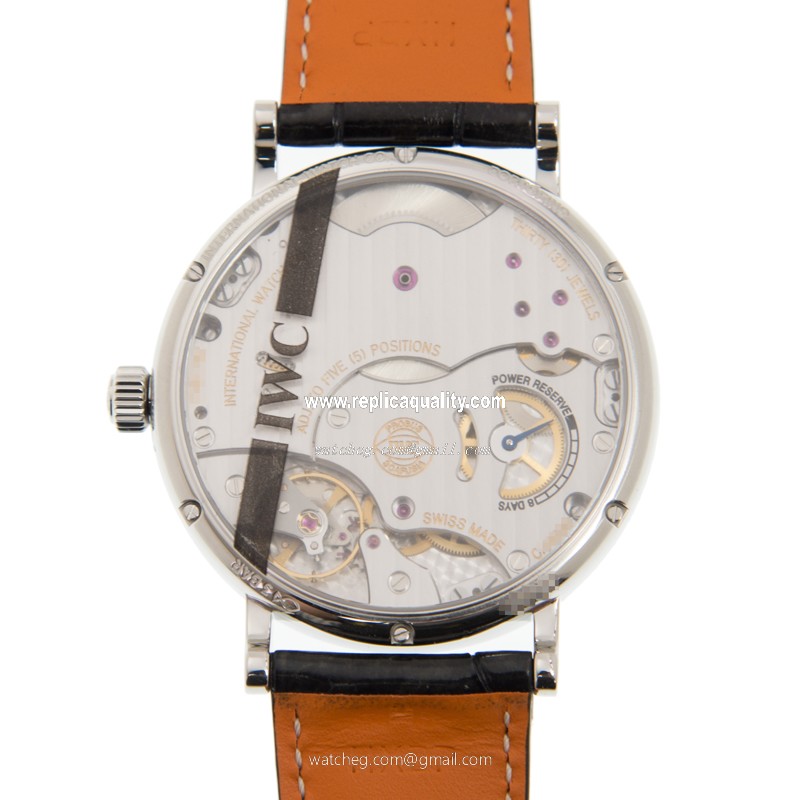 IWC IW511102 3