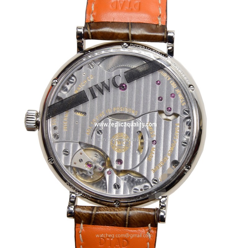 IWC IW510103 3