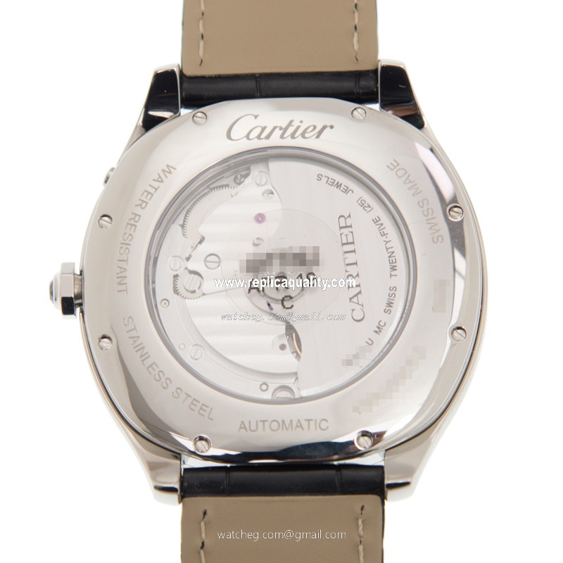 Cartier WSNM0008 3