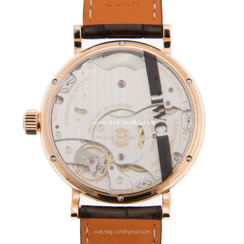 IWC IW516203 3