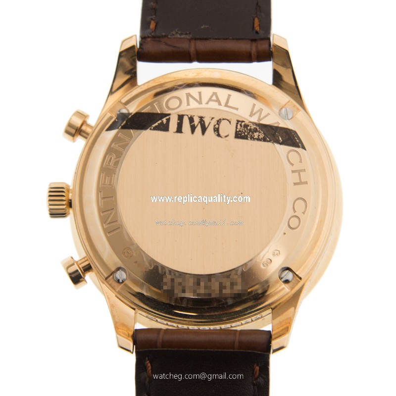 IWC IW371478 3