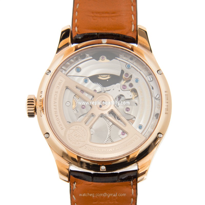 IWC IW504602 3