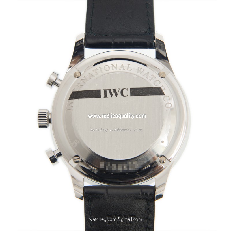 IWC IW371491 3