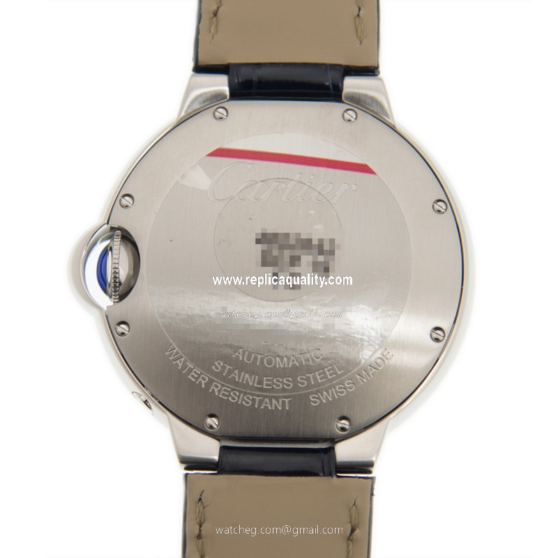 Cartier WSBB0020 3