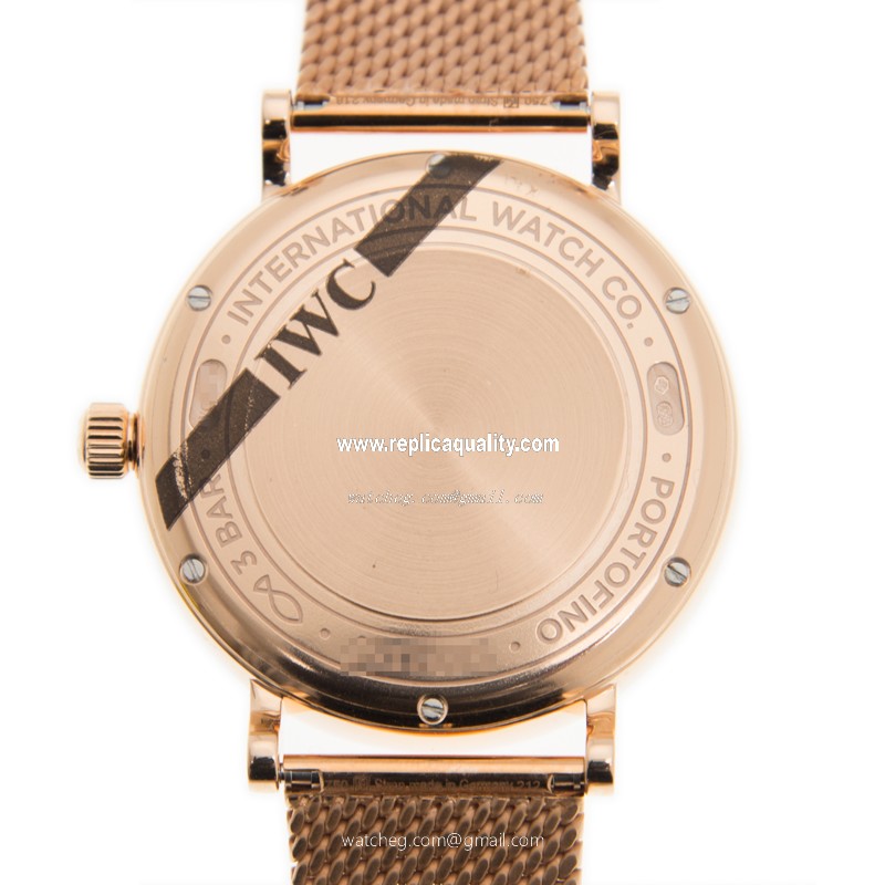 IWC IW459005 3