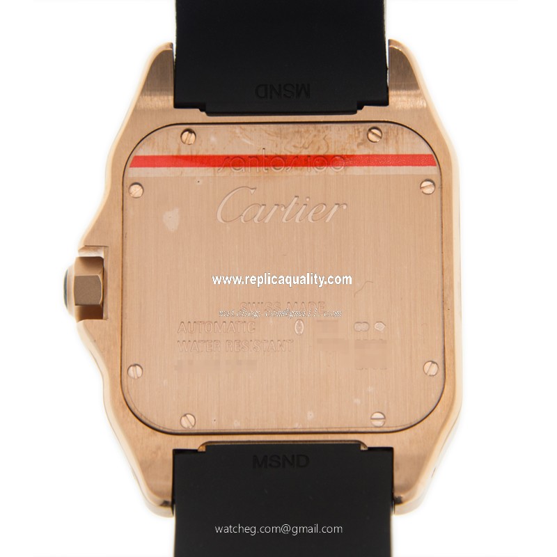 Cartier W20124U2 3