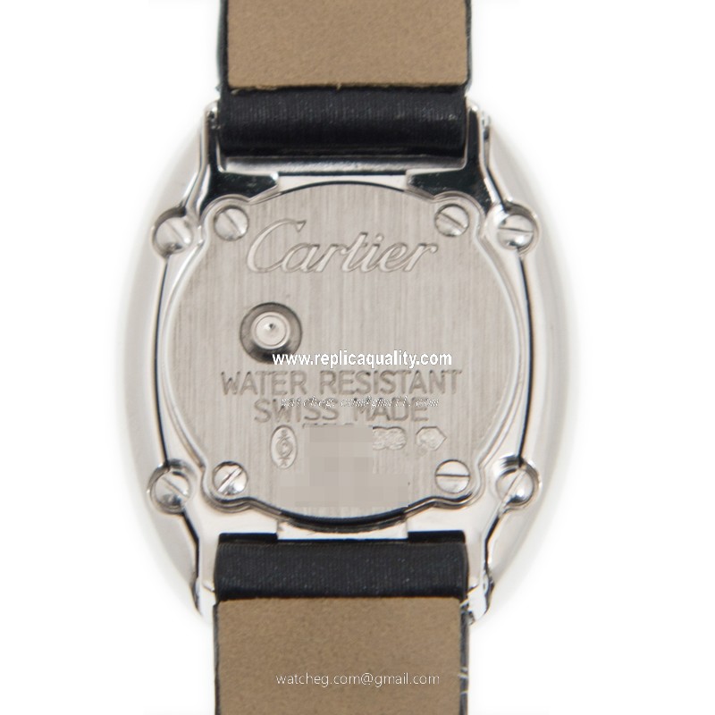 Cartier WB509531 3