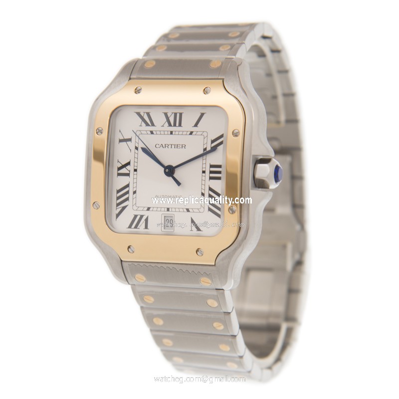 Cartier W2SA0006 3