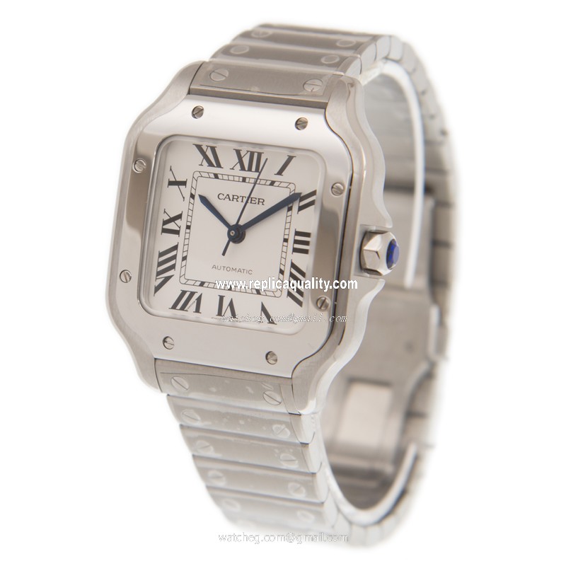 Cartier WSSA0010 3