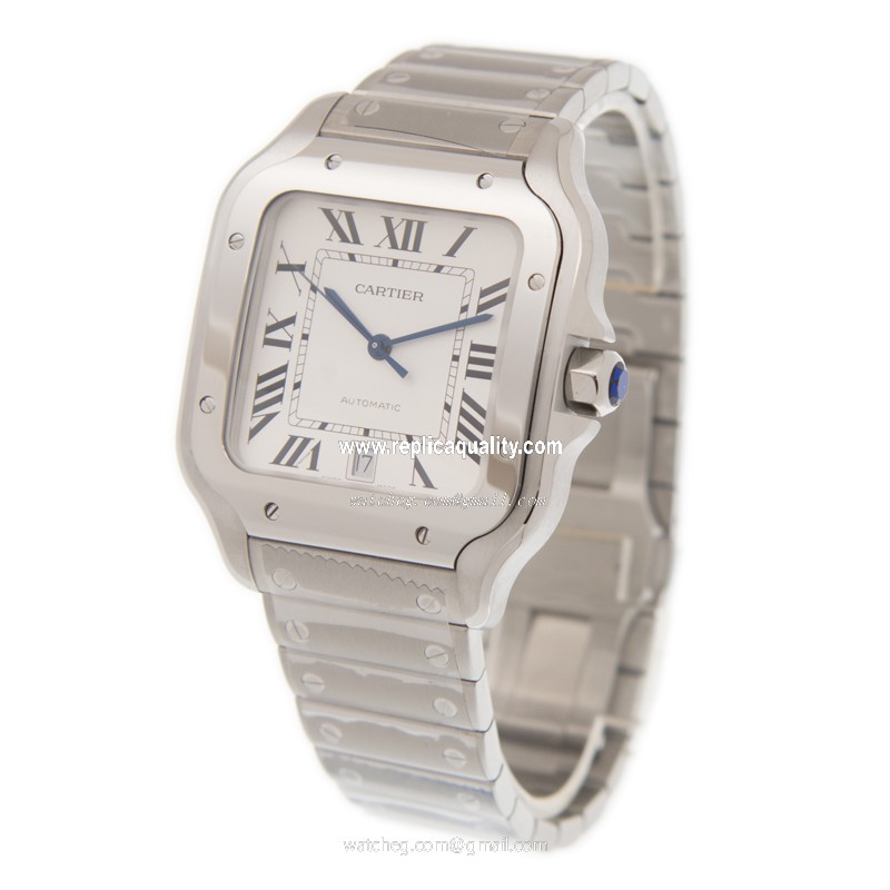 Cartier WSSA0009 3