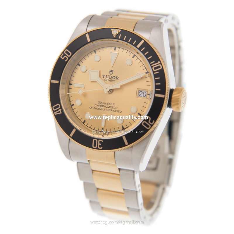 Tudor 79733N CHAMPANGE 3