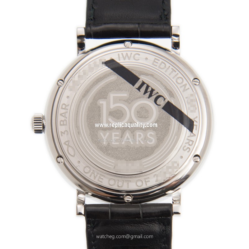 IWC IW356519 3