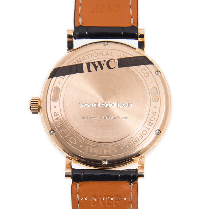 IWC IW458108 3