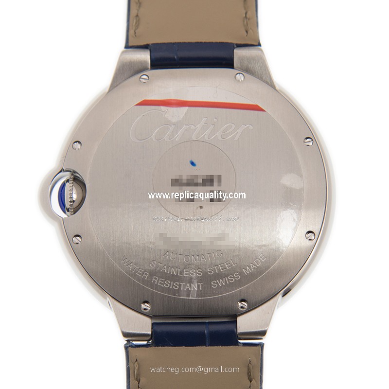 Cartier WSBB0025 3