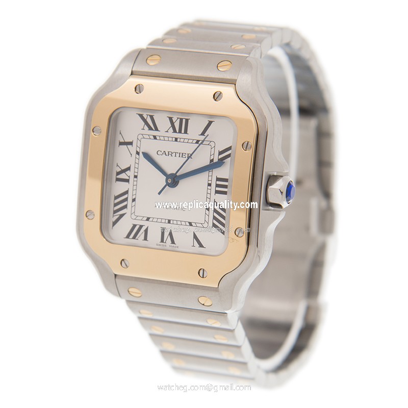 Cartier W2SA0007 3