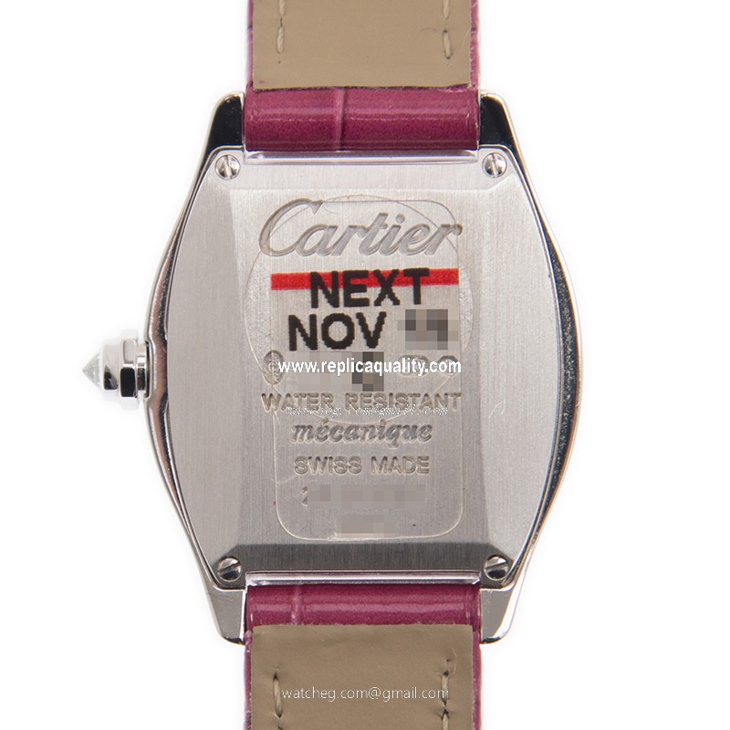 Cartier WA501007 3