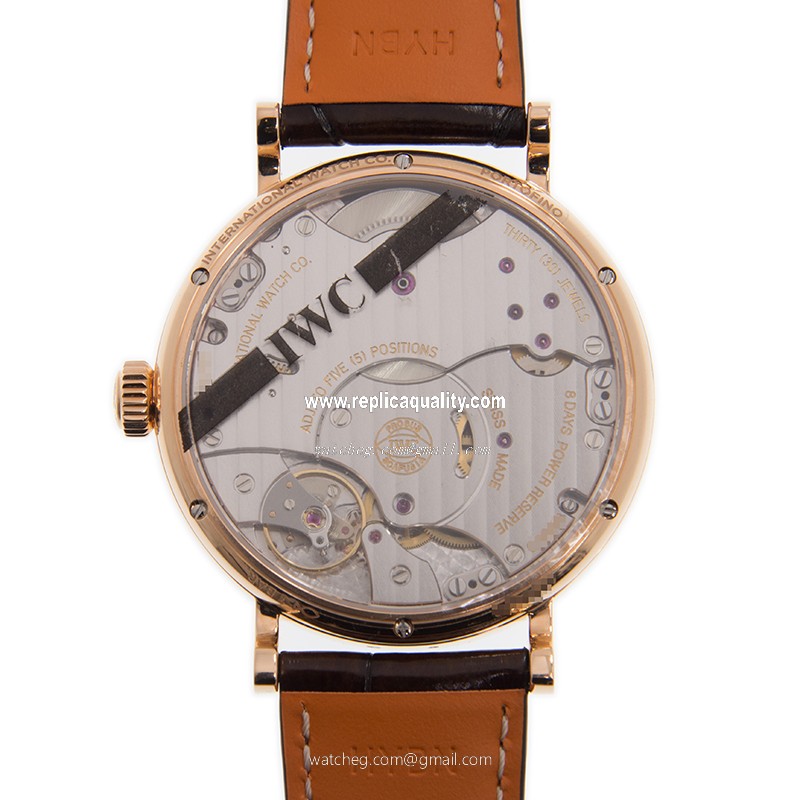 IWC IW516403 3