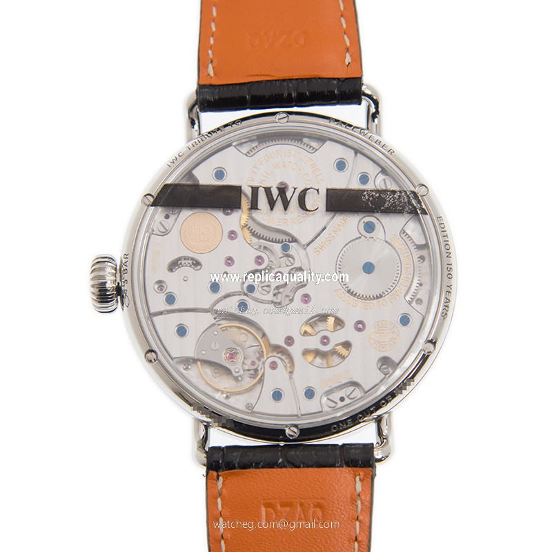 IWC IW505003 3