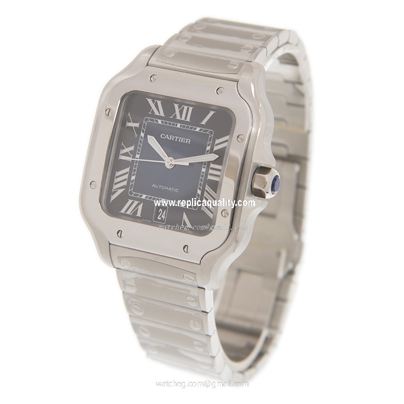 Cartier WSSA0013 3