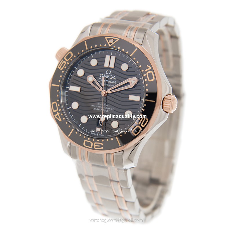 Omega 210.20.42.20.01.001 3