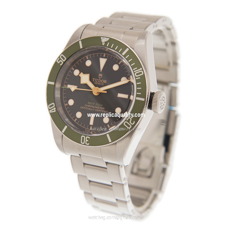 Tudor 79230G 3