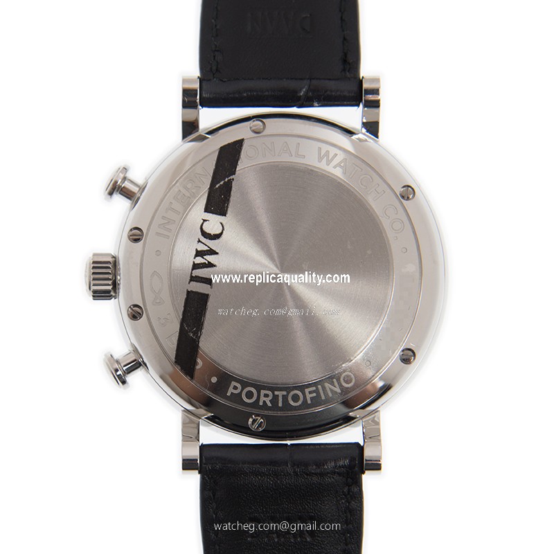IWC IW391031 3