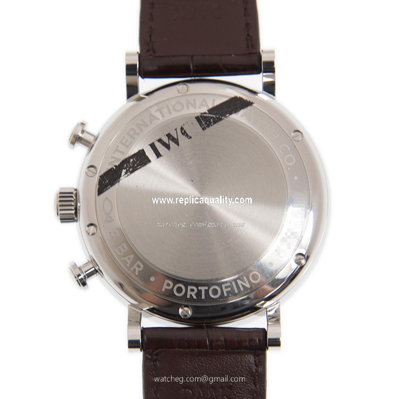 IWC IW391027 (IW391007) 3