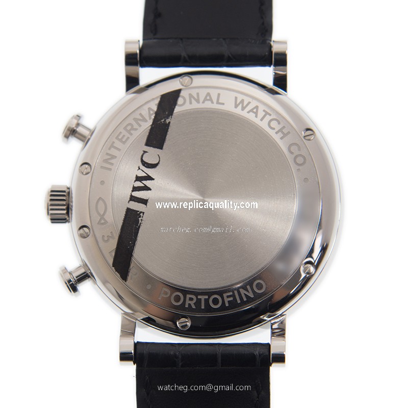 IWC IW391029 (IW391008) 3