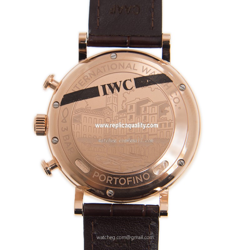 IWC IW391025   3