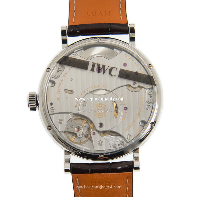 IWC IW516401 3